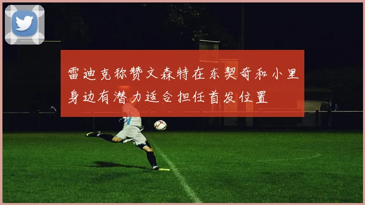 雷迪克称赞文森特在东契奇和小里身边有潜力适合担任首发位置