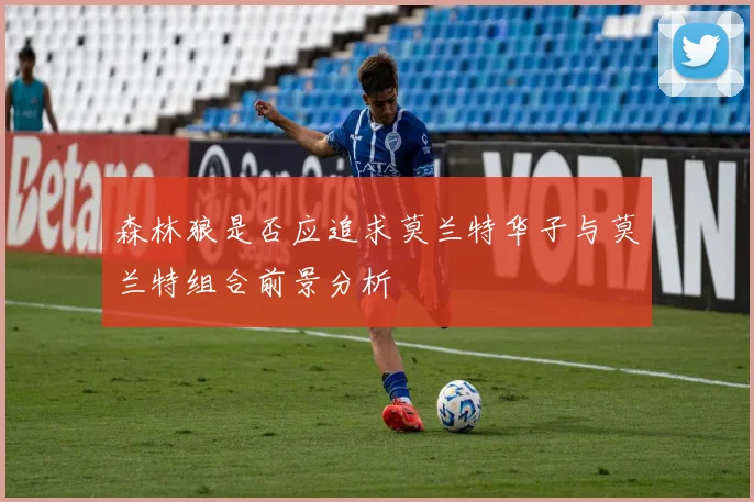 森林狼是否应追求莫兰特华子与莫兰特组合前景分析