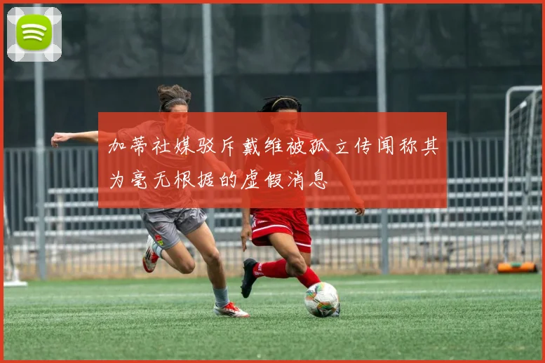 加蒂社媒驳斥戴维被孤立传闻称其为毫无根据的虚假消息